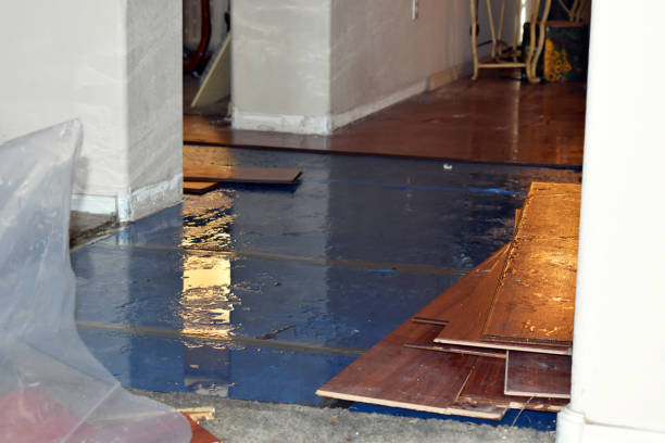 Professional Sewage Cleanup technician working in Salem, CT